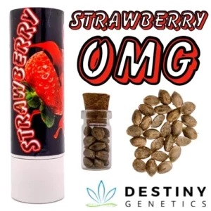 Strawberry OMG (Fem) 3 seeds per pack.